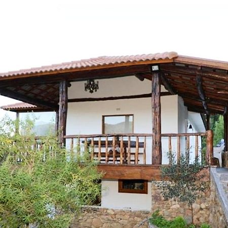 Villa Quintinha D'Amelia Celorico De Basto Exterior foto