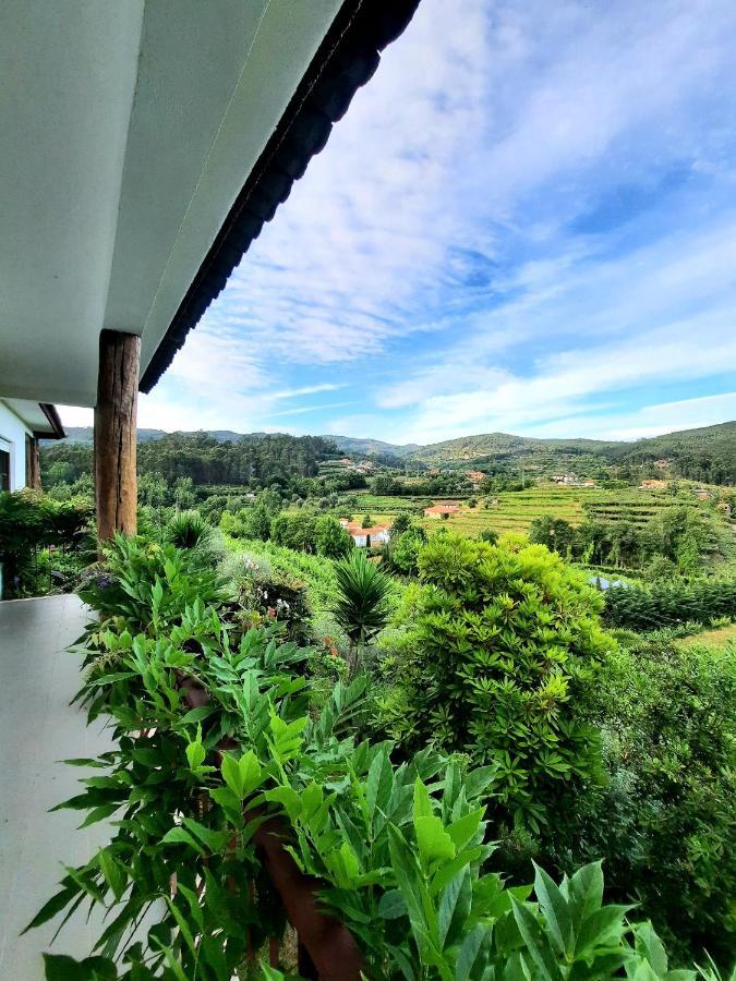 Villa Quintinha D'Amelia Celorico De Basto Exterior foto